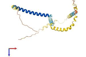 AlphaFold protein structure predicition of Human Recombinant TPD52L1 Protein, UniprotID Q16890