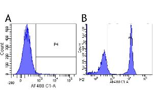 Flow-cytometry using anti-CD4 antibody 13B8. (Recombinant CD4 anticorps)