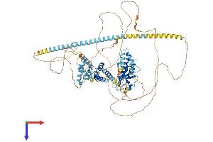 AlphaFold protein structure predicition of Human Recombinant MED15 Protein, UniprotID Q96RN5