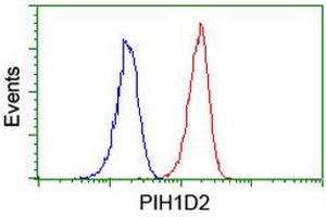 Image no. 4 for anti-PIH1 Domain Containing 2 (PIH1D2) (AA 1-315) antibody (ABIN1490740)