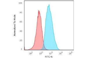 Flow Cytometric Analysis of T98G cells using S100A4 Mouse Monoclonal Antibody (S100A4/1481) followed by goat anti-Mouse IgG-CF488 (Blue); Isotype Control (Red). (s100a4 anticorps  (AA 1-200))