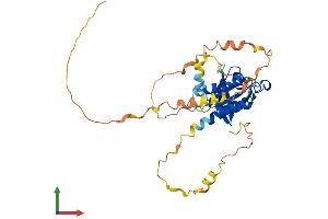 AlphaFold protein structure predicition of Human Recombinant REM2 Protein, UniprotID Q8IYK8