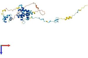AlphaFold protein structure predicition of Human Recombinant CUEDC2 Protein, UniprotID Q9H467