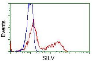 HEK293T cells transfected with either pCMV6-ENTRY SILV (RC200663) (Red) or empty vector control plasmid (Blue) were immunostained with anti-SILV mouse monoclonal (ABIN2452229, Dilution 1:1,000), and then analyzed by flow cytometry. (Melanoma gp100 anticorps)