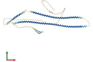AlphaFold protein structure predicition of Mouse Recombinant Krt24 Protein, UniprotID A1L317
