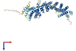 AlphaFold protein structure predicition of Mouse Recombinant Tti2 Protein, UniprotID Q8BGV4