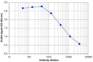 ELISA of anti-Jarid1c antibody ELISA results of Rabbit anti-Jarid1c antibody.