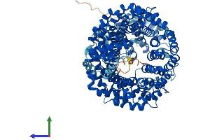 AlphaFold protein structure predicition of Human Recombinant TNPO1 Protein, UniprotID Q92973