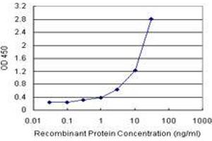 Sandwich ELISA detection sensitivity ranging from 0. (OBFC1 (Humain) Matched Antibody Pair)