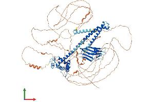 AlphaFold protein structure predicition of Mouse Recombinant Caprin2 Protein, UniprotID Q05A80