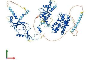 AlphaFold protein structure predicition of Mouse Recombinant Polr3e Protein, UniprotID Q9CZT4