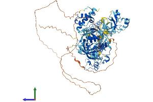 AlphaFold protein structure predicition of Mouse Recombinant Sfmbt1 Protein, UniprotID Q9JMD1