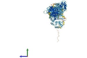 AlphaFold protein structure predicition of Human Recombinant MEI1 Protein, UniprotID Q5TIA1