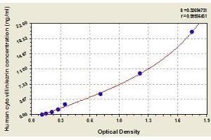 Typical standard curve (Ezrin Kit ELISA)