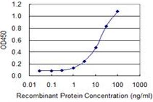 Detection limit for recombinant GST tagged ZNF187 is 0. (ZNF187 anticorps  (AA 1-325))
