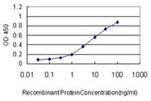 Detection limit for recombinant GST tagged KIF2C is approximately 0.