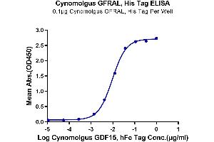 Immobilized Cynomolgus GFRAL, His Tag at 1 μg/mL (100 μL/well) on the plate.