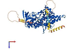 AlphaFold protein structure predicition of Human Recombinant SQLE Protein, UniprotID Q14534