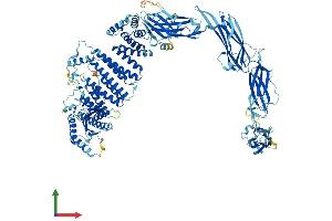 AlphaFold protein structure predicition of Human Recombinant TRAPPC11 Protein, UniprotID Q7Z392