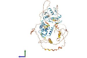 AlphaFold protein structure predicition of Human Recombinant ZBTB7C Protein, UniprotID A1YPR0