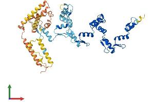 AlphaFold protein structure predicition of Human Recombinant ZNF596 Protein, UniprotID Q8TC21