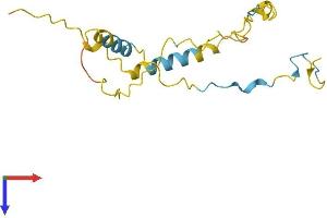 AlphaFold protein structure predicition of Mouse Recombinant Fam219a Protein, UniprotID Q9D772