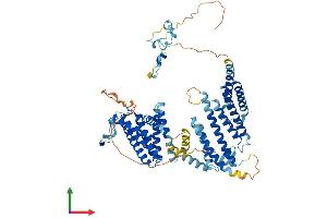 AlphaFold protein structure predicition of Human Recombinant SRP68 Protein, UniprotID Q9UHB9