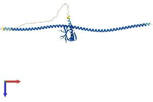 AlphaFold protein structure predicition of Human Recombinant HOMER1 Protein, UniprotID Q86YM7