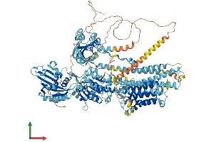 AlphaFold protein structure predicition of Mouse Recombinant Atp2b4 Protein, UniprotID Q6Q477