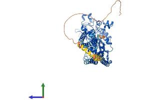 AlphaFold protein structure predicition of Human Recombinant GDPD5 Protein, UniprotID Q8WTR4