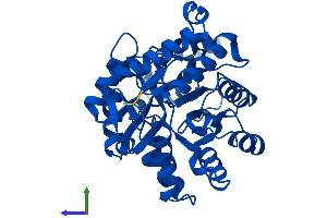 AlphaFold protein structure predicition of Mouse Recombinant Pter Protein, UniprotID Q60866