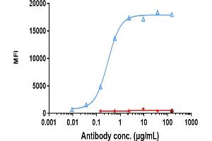 Human LIV1 CHOS cells were stained with anti-LIV-1 / SLC39A6 Mouse Antibody and negative control protein respectively, washed and then followed by PE and analyzed with FACS, EC50=0.