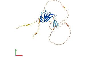 AlphaFold protein structure predicition of Human Recombinant BOLL Protein, UniprotID Q8N9W6