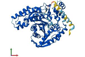 AlphaFold protein structure predicition of Human Recombinant FAAH2 Protein, UniprotID Q6GMR7