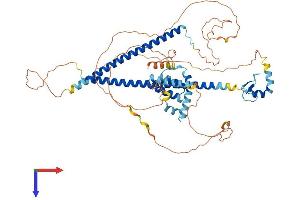 AlphaFold protein structure predicition of Human Recombinant RUNX1T1 Protein, UniprotID Q06455