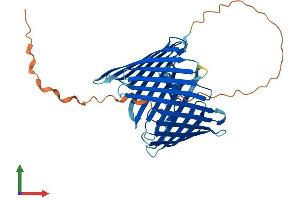 AlphaFold protein structure predicition of Human Recombinant TOMM40 Protein, UniprotID O96008