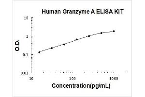 Human Granzyme A PicoKine ELISA Kit standard curve