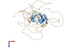 AlphaFold protein structure predicition of Human Recombinant MASTL Protein, UniprotID Q96GX5