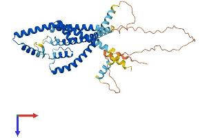 AlphaFold protein structure predicition of Mouse Recombinant Kcnk13 Protein, UniprotID Q8R1P5