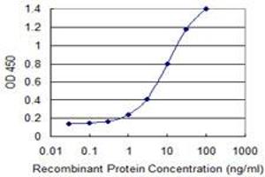 anti-Zinc Finger Protein 23 (ZNF23) (AA 41-139) antibody