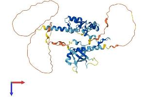 AlphaFold protein structure predicition of Mouse Recombinant Ring1 Protein, UniprotID O35730