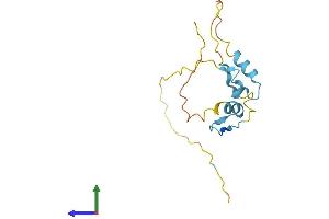 AlphaFold protein structure predicition of Mouse Recombinant Atxn7l1 Protein, UniprotID Q9CZ05