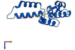 AlphaFold protein structure predicition of Mouse Recombinant Polr2d Protein, UniprotID Q9D7M8