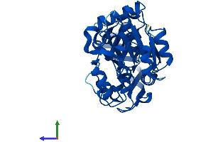 AlphaFold protein structure predicition of Mouse Recombinant Ptgr2 Protein, UniprotID Q8VDQ1