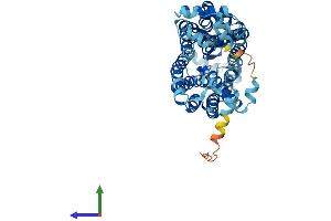 AlphaFold protein structure predicition of Mouse Recombinant Slc22a12 Protein, UniprotID Q8CFZ5