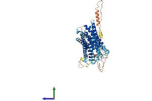 AlphaFold protein structure predicition of Mouse Recombinant Slc41a2 Protein, UniprotID Q8BYR8