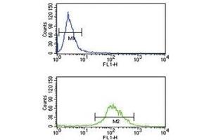 TAT antibody flow cytometry analysis of K562 cells (green) compared to a&nbsp;negative control&nbsp;(blue). (Tat (AA 279-306) anticorps)