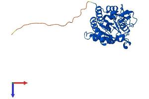AlphaFold protein structure predicition of Human Recombinant SMUG1 Protein, UniprotID Q53HV7