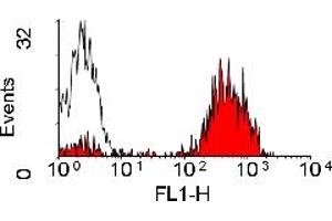Image no. 1 for anti-Major Histocompatibility Complex Class II Antigen (MHC2) antibody (FITC) (ABIN304830) (MHC Class II anticorps  (FITC))