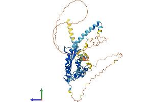 AlphaFold protein structure predicition of Human Recombinant NAP1L2 Protein, UniprotID Q9ULW6